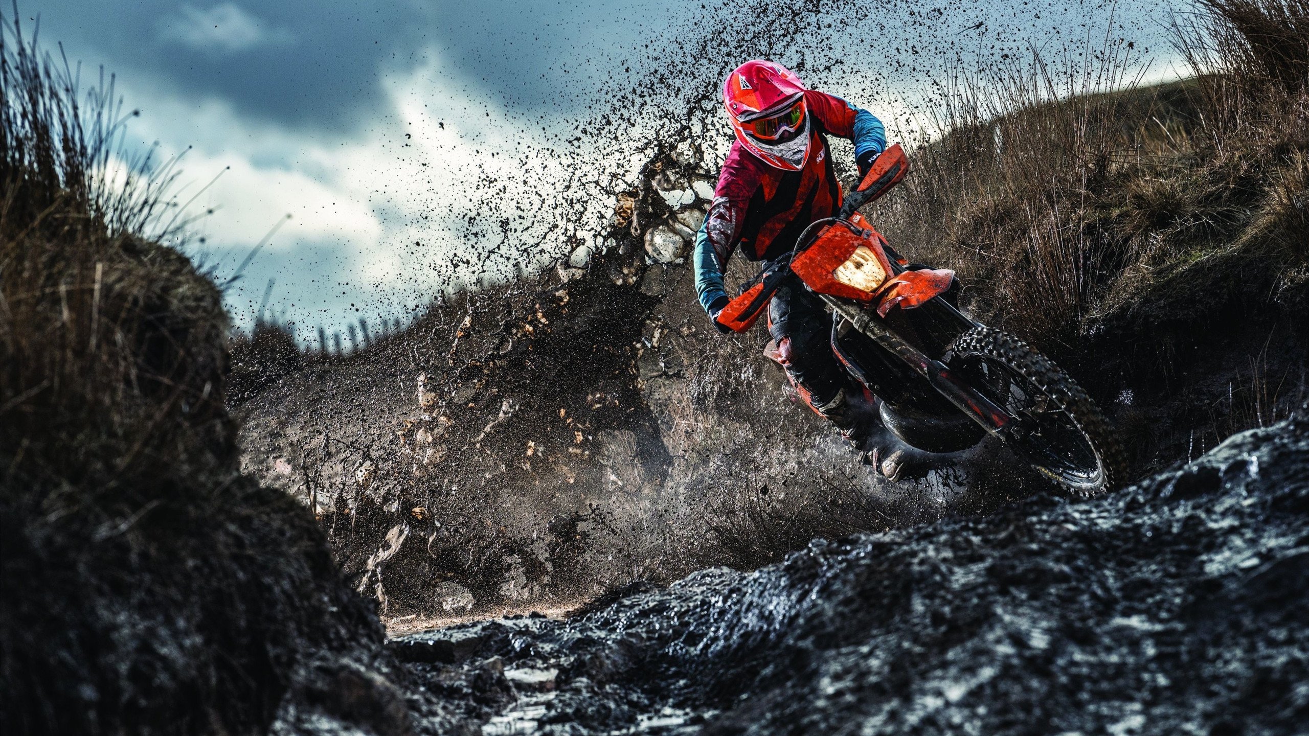 开云体育全站-中立代表队B选手普里戈达50蛙展现经验，普里戈金百度百科