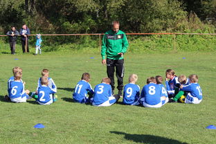 kering.com-欧洲杯冠军悬念：战术配合与个人能力巅峰对决，欧洲杯冠军大热门